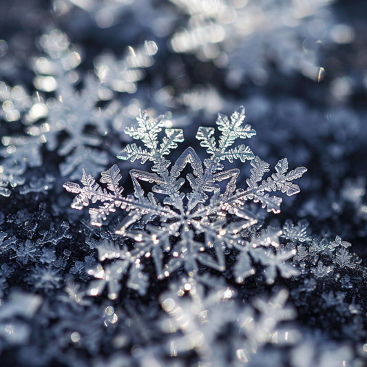 Why Your Business is Like a Unique Snowflake